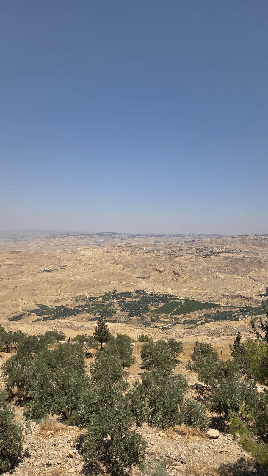 إطلالة على الأرض المقدسة