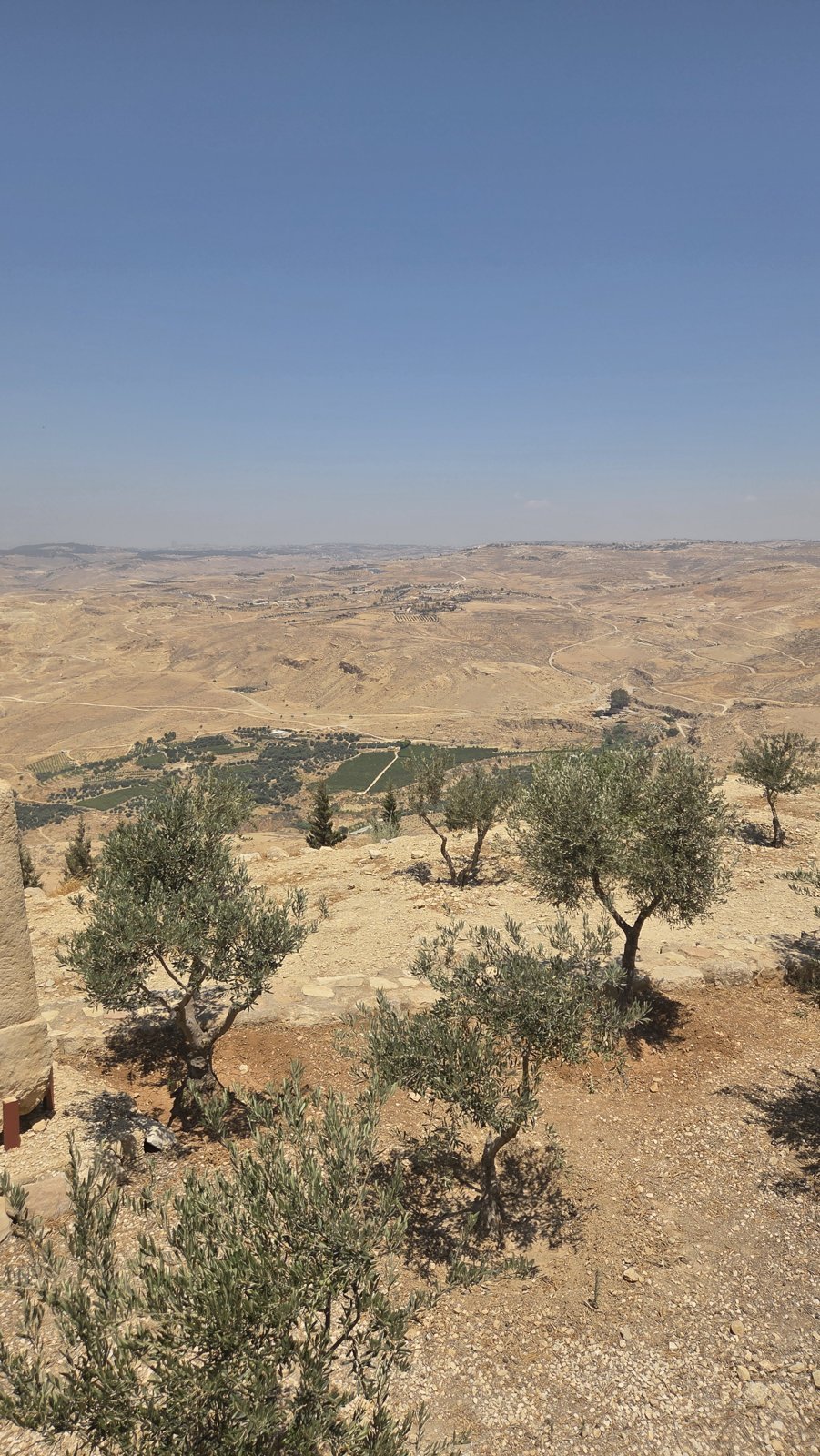 وادي الزيتون قرب جبل نيبو